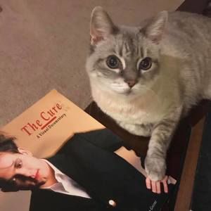 Meet your Posher, Jen